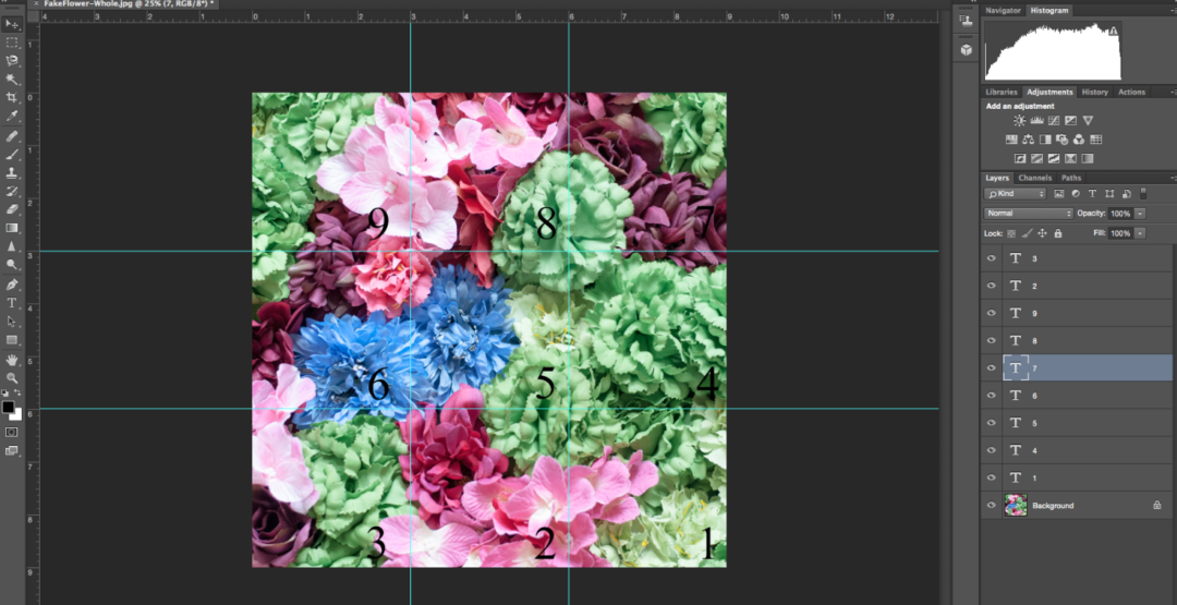 Обучение на онлайн-курсе Adobe Illustrator, Adobe Photoshop или Adobe Lightroom от студии Learncours
